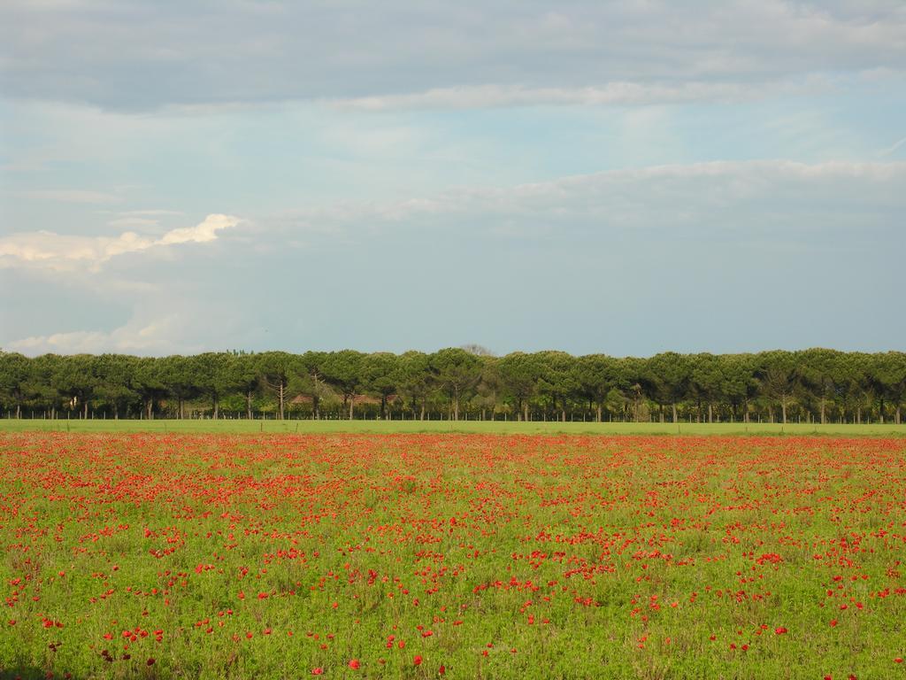 Appartamento Riviera Bibione Exterior photo